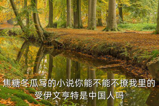 焦糖冬瓜寫的小說你能不能不撩我里的受伊文亨特是中國人嗎