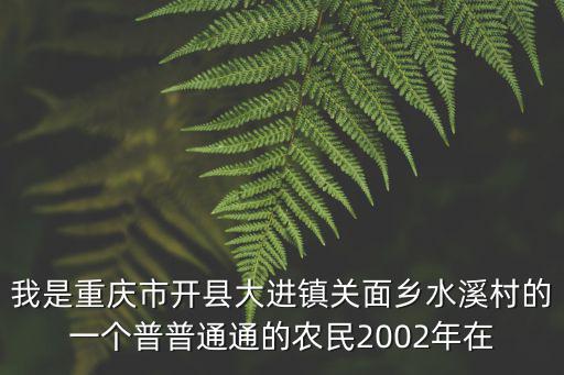 我是重慶市開縣大進鎮關面鄉水溪村的一個普普通通的農民2002年在