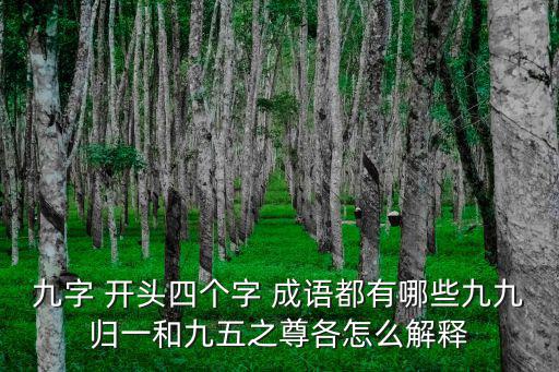 九字 開頭四個字 成語都有哪些九九歸一和九五之尊各怎么解釋