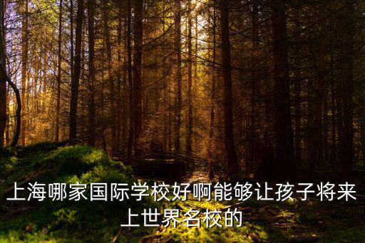 上海哪家國際學校好啊能夠讓孩子將來上世界名校的