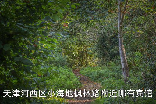 天津河西區(qū)小海地楓林路附近哪有賓館