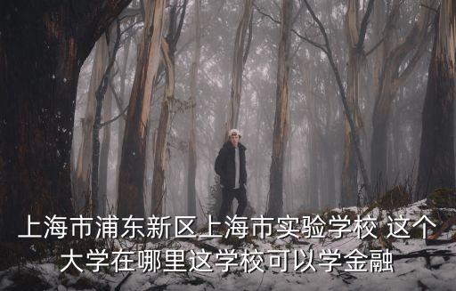 上海市浦東新區(qū)上海市實驗學校 這個大學在哪里這學?？梢詫W金融