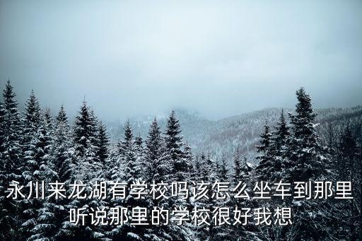 重慶市永川區龍湖中學十班，龍湖實驗中學