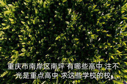 重慶市南岸區南坪 有哪些高中 注不光是重點高中 求這些學校的校