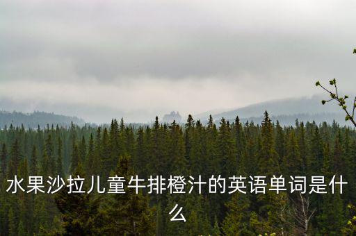 水果沙拉兒童牛排橙汁的英語單詞是什么