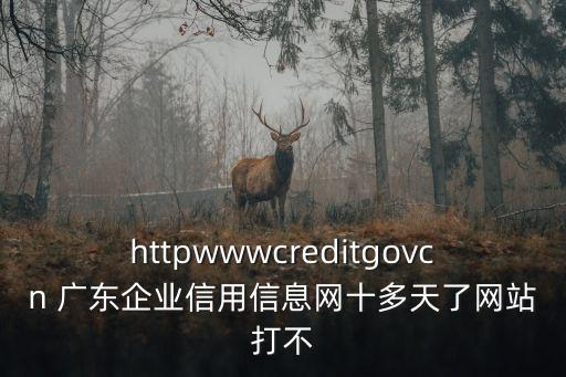 httpwwwcreditgovcn 廣東企業(yè)信用信息網(wǎng)十多天了網(wǎng)站打不
