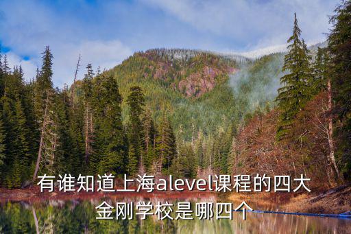 有誰知道上海alevel課程的四大金剛學校是哪四個