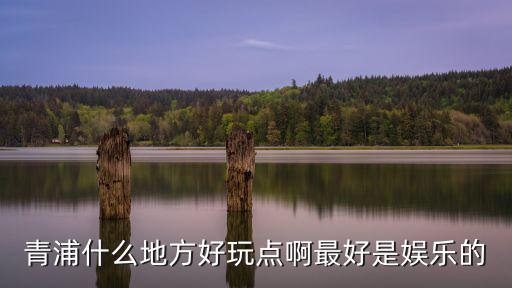 青浦什么地方好玩點啊最好是娛樂的