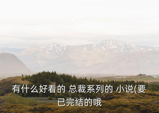 有什么好看的 總裁系列的 小說(要已完結的哦
