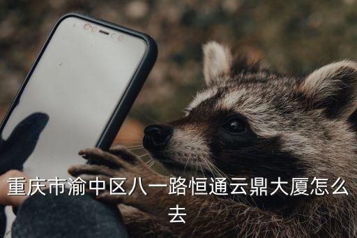 重慶市渝中區八一路恒通云鼎大廈怎么去