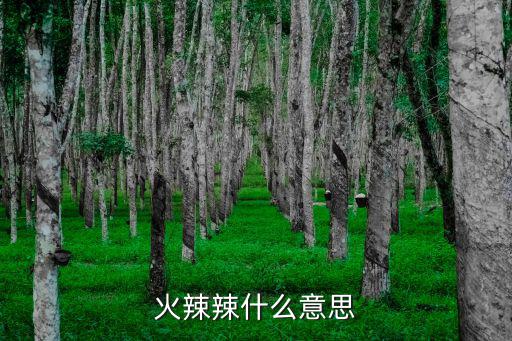 火辣辣的意思，火辣辣是什么意思
