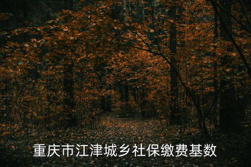 重慶市江津城鄉社保繳費基數