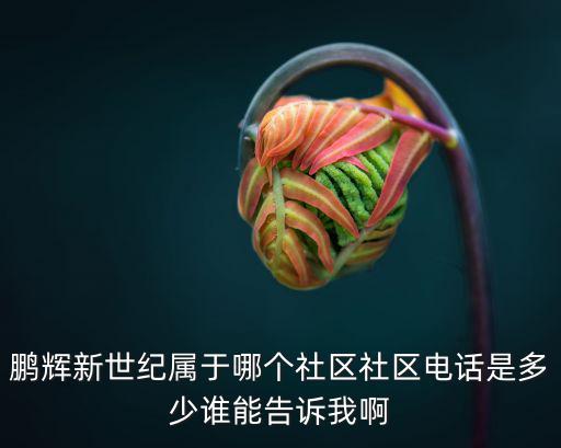 鵬輝新世紀屬于哪個社區(qū)社區(qū)電話是多少誰能告訴我啊
