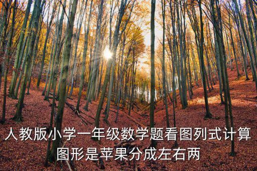 人教版一年級數學，人教版小學一年級數學題看圖列式計算圖形是蘋果分成左右兩
