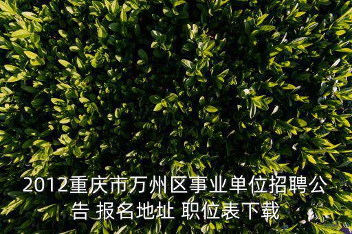 重慶市8月21日招考公告，2012年重慶公務(wù)員考試公告