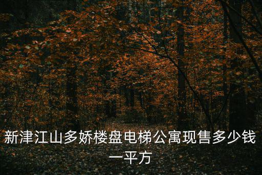 新津江山多嬌樓盤電梯公寓現售多少錢一平方