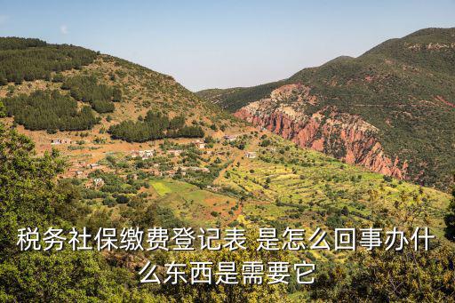 稅務(wù)社保繳費(fèi)登記表 是怎么回事辦什么東西是需要它