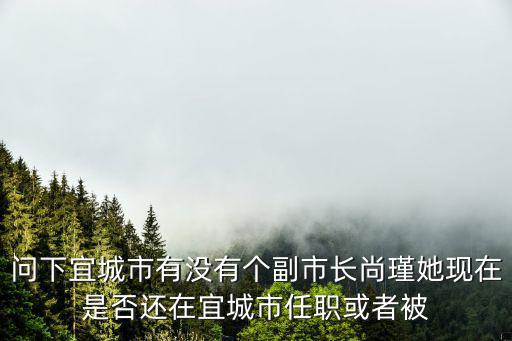 成都市副市長卿尚霖，市長你好我是一名普通的農民工前兩個月我家小孩在成都市婦女兒