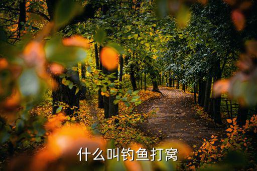 什么叫釣魚打窩