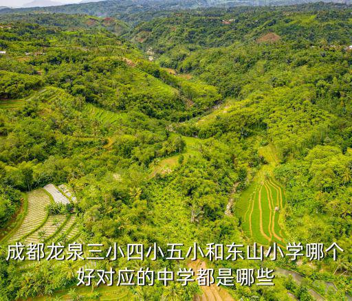 成都市龍泉驛區東山國際小學及向陽橋小學，成都市龍泉驛區東山小學一年級學費多少還有沒有其他的費用  搜