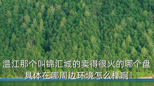溫江那個叫錦匯城的賣得很火的哪個盤具體在哪周邊環(huán)境怎么樣啊