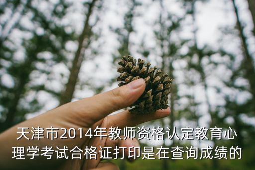 天津市教師資格認定教育學 教育心理學考試，天津市教育學和心理學的考試在什么時候