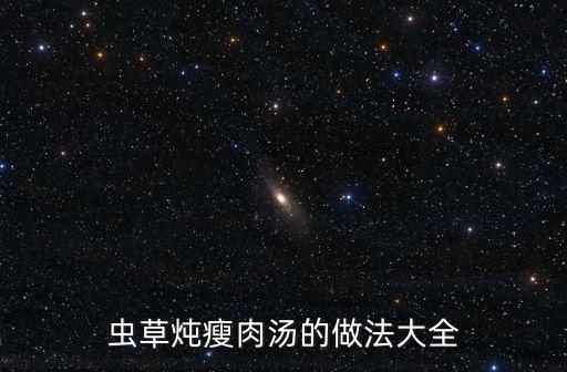 蟲草燉瘦肉湯的做法大全