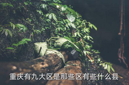 重慶市忠善是哪個區，重慶有九大區是那些區有些什么縣