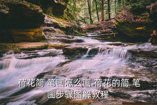  荷花簡 筆畫怎么畫 荷花的簡 筆畫步驟圖解教程