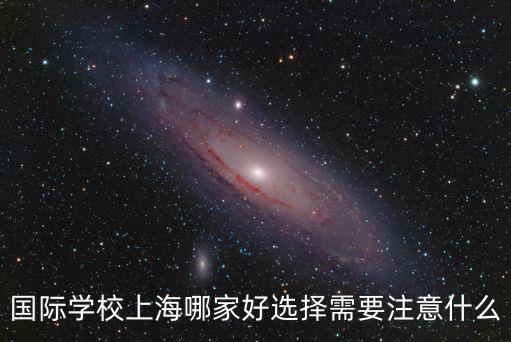 上海市21所試點國際學校，國際學校上海哪家好選擇需要注意什么