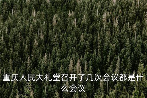 重慶人民大禮堂召開了幾次會議都是什么會議