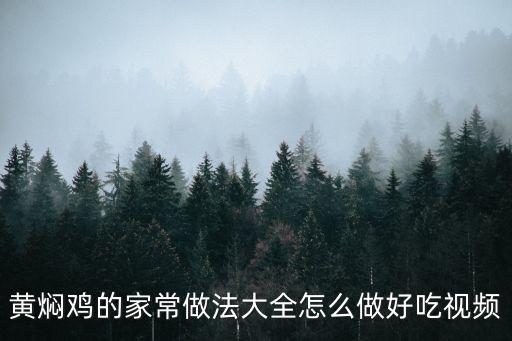 黃燜雞的家常做法大全怎么做好吃視頻