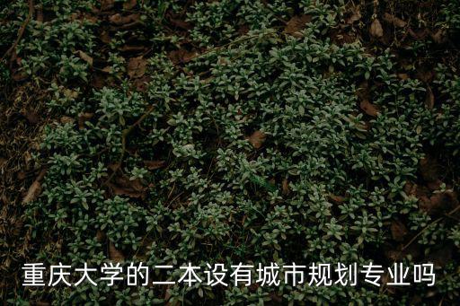重慶大學(xué)的二本設(shè)有城市規(guī)劃專業(yè)嗎