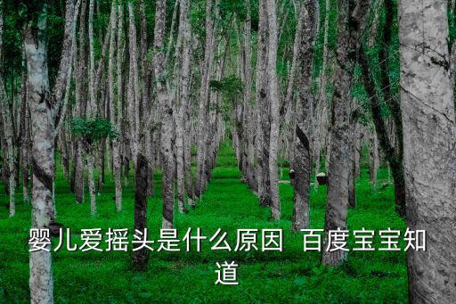 嬰兒愛(ài)搖頭是什么原因  百度寶寶知道