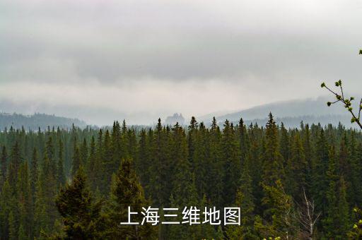 上海三維地圖