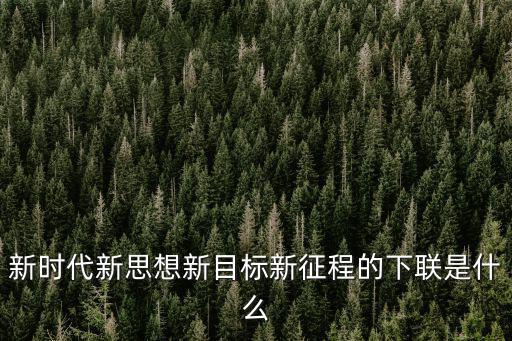 新時代思想，新時期我國社會主義現代化建設的指導思想是什么