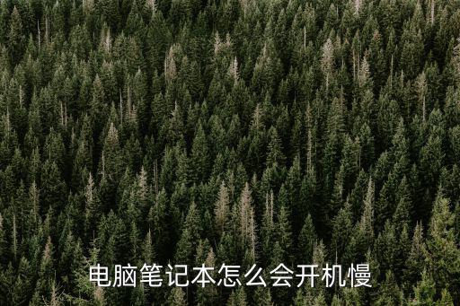電腦筆記本怎么會開機慢