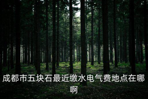 成都市天府新區(qū)繳氣費點，成都哪些地方可以交燃氣費