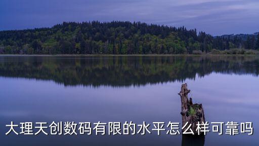 大理天創數碼有限的水平怎么樣可靠嗎