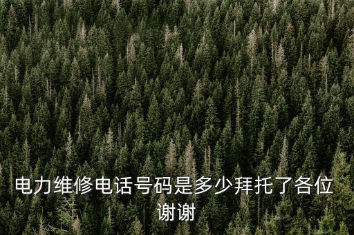 電力維修電話號(hào)碼是多少拜托了各位 謝謝