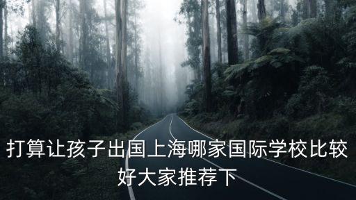 打算讓孩子出國上海哪家國際學(xué)校比較好大家推薦下