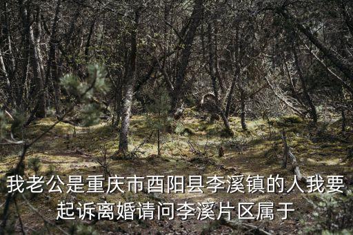 我老公是重慶市酉陽縣李溪鎮(zhèn)的人我要起訴離婚請問李溪片區(qū)屬于