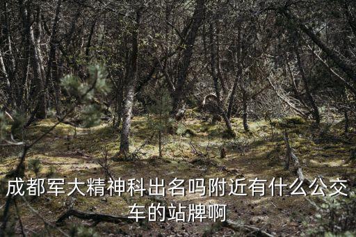 成都市軍大醫院 精神科力獻，成都軍大醫院是可靠的嗎精神科怎么樣