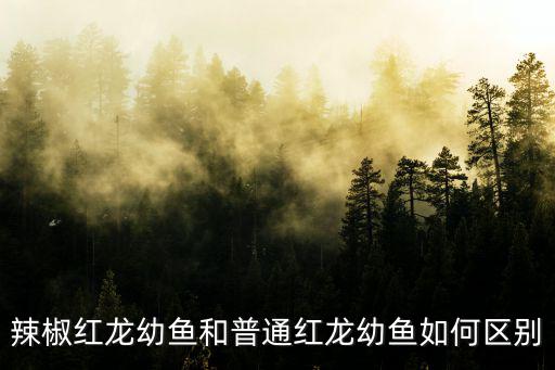 辣椒紅龍，辣椒紅龍幼魚和普通紅龍幼魚如何區別