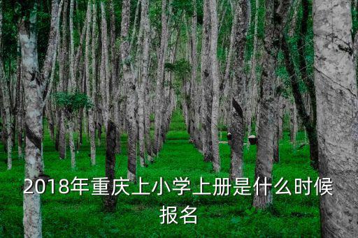 2018年重慶上小學上冊是什么時候報名