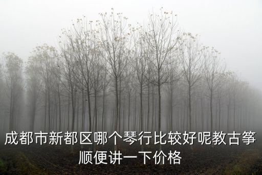 成都市新都區(qū)哪個(gè)琴行比較好呢教古箏順便講一下價(jià)格