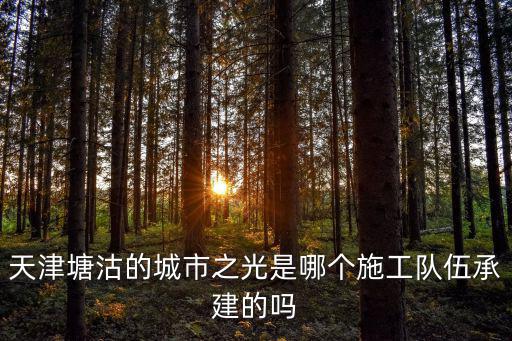 天津塘沽的城市之光是哪個施工隊(duì)伍承建的嗎