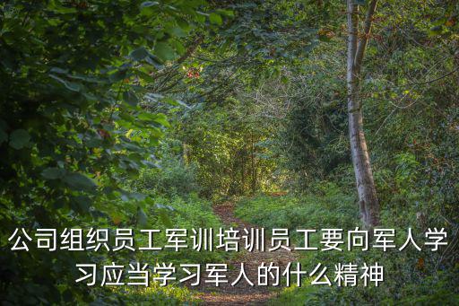 軍人精神，軍人的什么精神值得學習