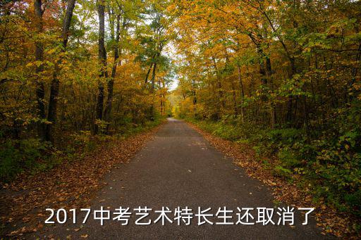 2017中考藝術(shù)特長生還取消了