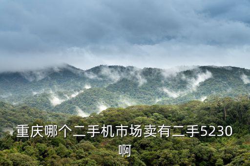 重慶哪個二手機市場賣有二手5230啊